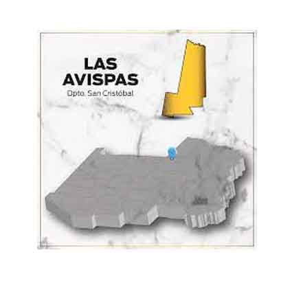LasAvispas